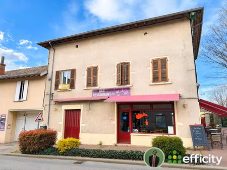 vente locaux professionnels 45 m² à chaneins (01990)  66 000 €