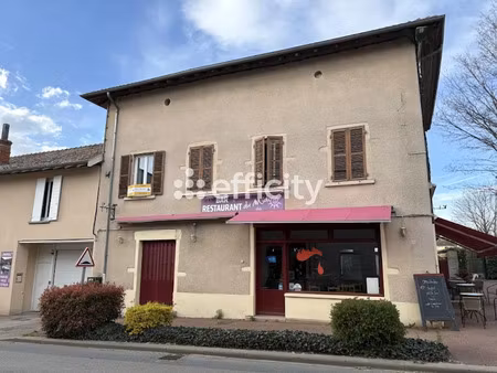 vente locaux professionnels 45 m² à chaneins (01990)  90 000 €