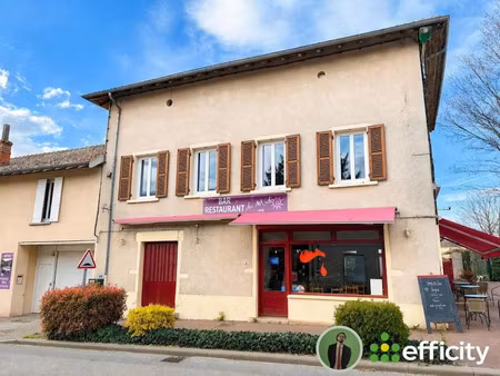 vente locaux professionnels 93 m² à chaneins (01990)  90 000 €