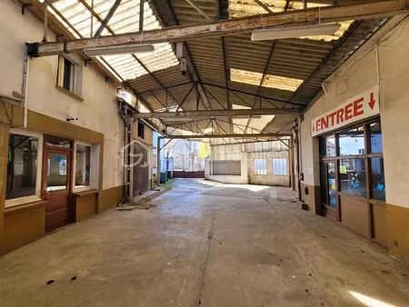 vente immeuble 8 pièces 148 m² à sainte-colombe-sur-seine (05700)  75 000 €