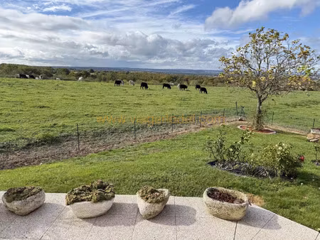 vente maison viager 101 m² néris-les-bains (03310)