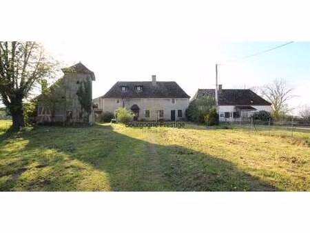 maison avec jardin tournus (71)