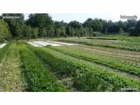 parcelle agricole / terrain animaux