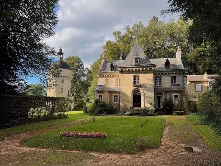 château à vendre à la perrière