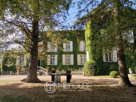 château à vendre dans le quartier centre