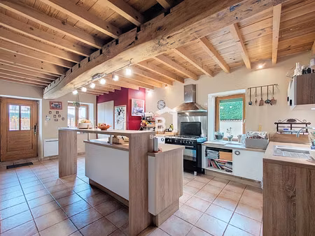 maison de luxe à vendre à frontonas