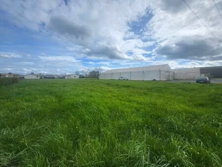 vente commerce 1 pièce 4000 m² castets et castillon (33210)