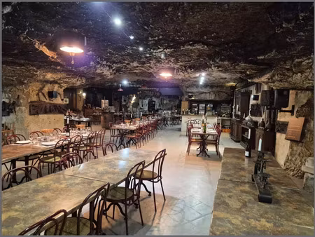vente commerce 8 pièces 1200 m² amboise (37400)