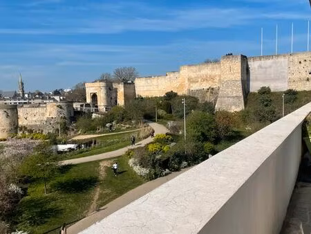 t4 hypercentre meublé rénové