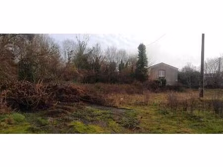 vente terrain à mouzillon (44330) : à vendre / 1020m² mouzillon