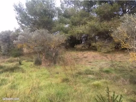 terrain + maison saint-chamas