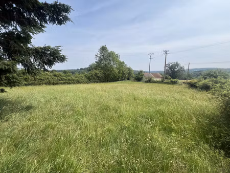 terrain constructible