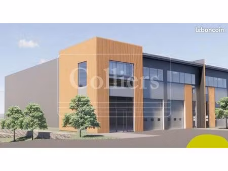 local d'activité 246 m²