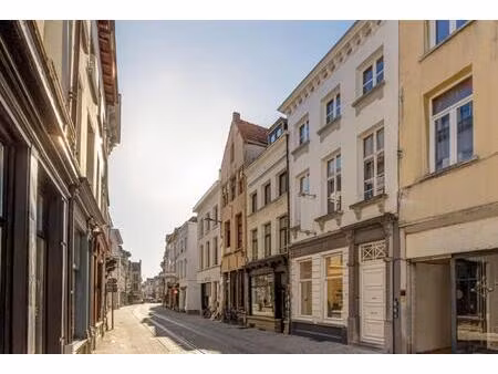 commerciële eigendom te koop in antwerpen