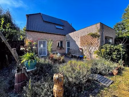 huis te koop in moerbeke-waas