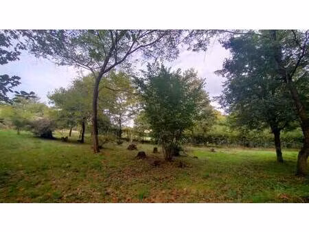 terrain constructible à vendre