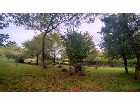 terrain à bâtir boisé