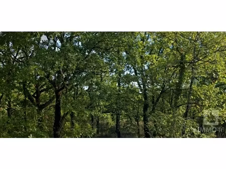 achat terrain le montat 46090