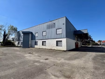 vente local d'activités villeurbanne 1 350 m²