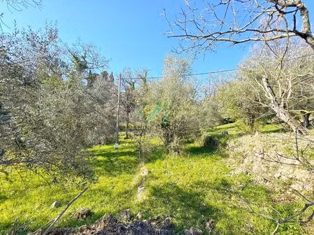 vente terrain 6348 m² opio (06650)