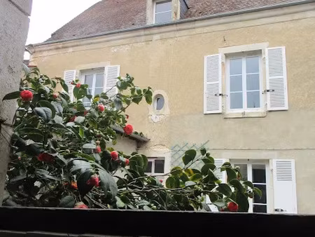 vente maison 7 pièces 175 m² à saint-gaultier (36800)  181 900 €