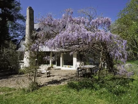 manoir avec piscine et jardin à puivert