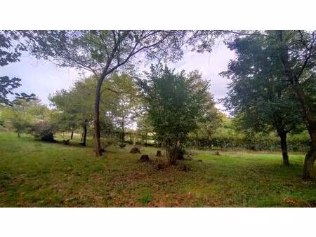 vente terrain 1203 m² caillac (46140)