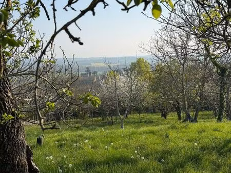 terrain constructible