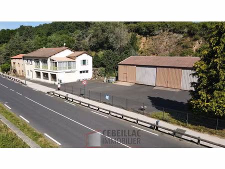 maison avec hangar et 9000m2 de terrain