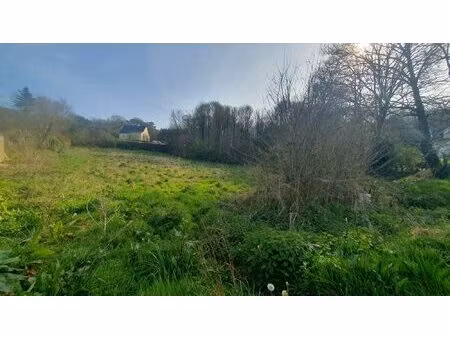 achat terrain 2 200m² larre 56230