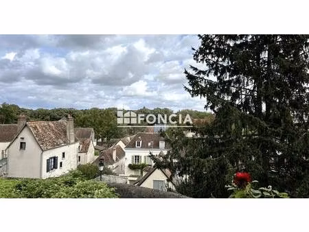 appartement de 2 pieces de 53 m2 avec cave