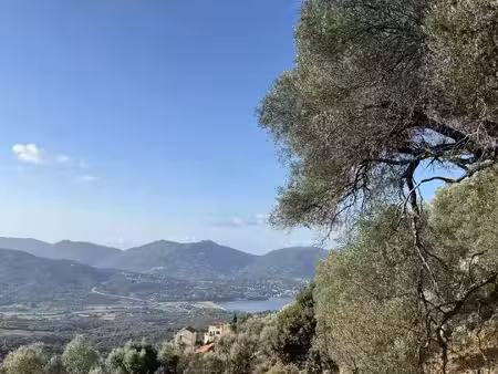 rare à la vente - terrain constructible olmeto