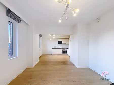 mooi appartement met 2 slaapkamers in de buurt van plasky