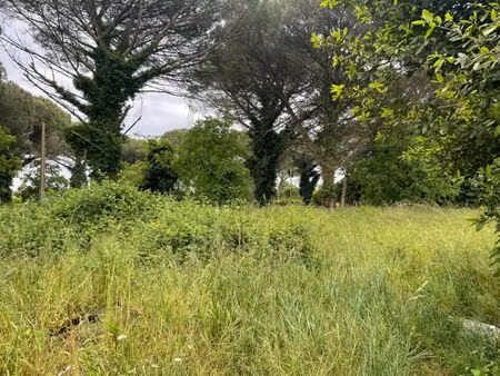 vente terrain 1080 m² langon (33210)