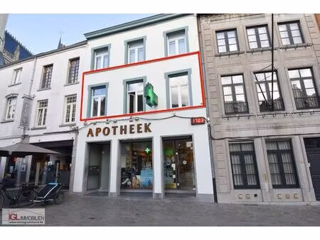 1-kamer appartement met groot terras te centrum halle