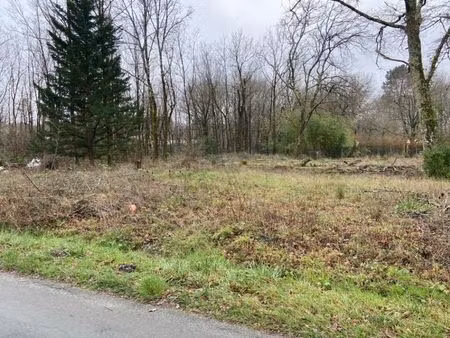 vente terrain 713 m² cestas (33610)