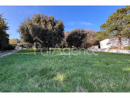 annonce terrain à vendre