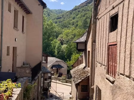 vente maison conques-en-rouergue 12320 - - surface privée