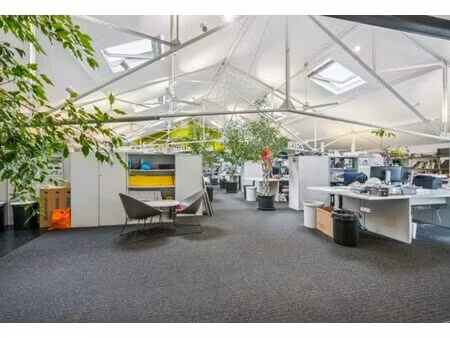 location local professionnel 580m²