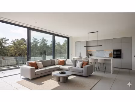 vente appartement 2 pièces 67 m² le grau-du-roi (30240)