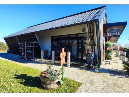 fonds de commerce de fleuriste  belle visibilité et potentiel de développement