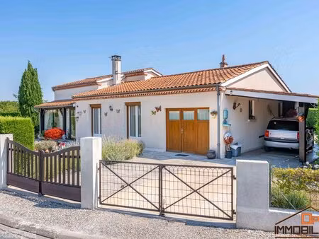 achat : maison (47290)