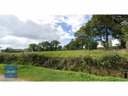 terrain les portes du coglais 2756 m2