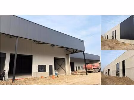 surface industrielle à vendre à puurs-sint-amands (rbv55813)