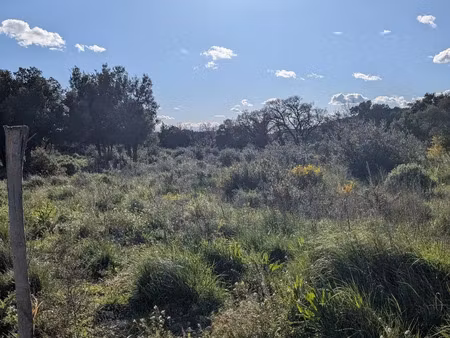 vente terrain à castillon-du-gard (30210) : à vendre / 4880m² castillon-du-gard