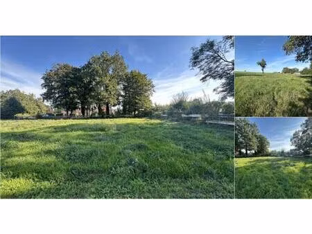 terrain à vendre à voie de fize (face au n°1) crisnée (vbe02915)