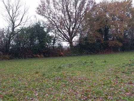 vente terrain à saffré (44390) : à vendre / saffré