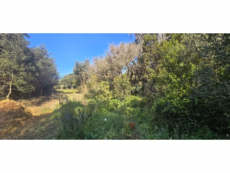 terrain à bâtir   commune d'olmeto proche de propriano