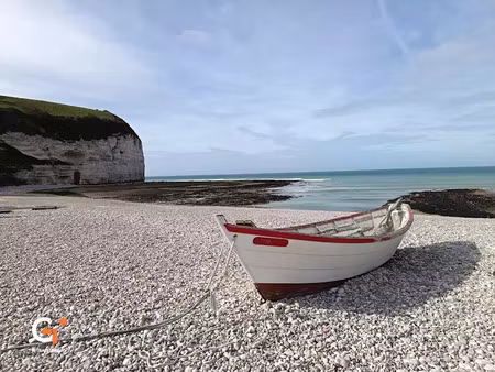 vente maison 8 pièces 165 m² à fecamp (76400)  465 000 €