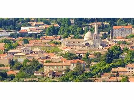 terrain saint-rémy-de-provence (13)